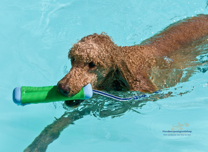 Op zoek naar leuk speelgoed voor je hond om mee te spelen in het water? Ontdek bij Hondenspeelgoedshop.nl het beste drijvende en waterbestendige hondenspeelgoed!