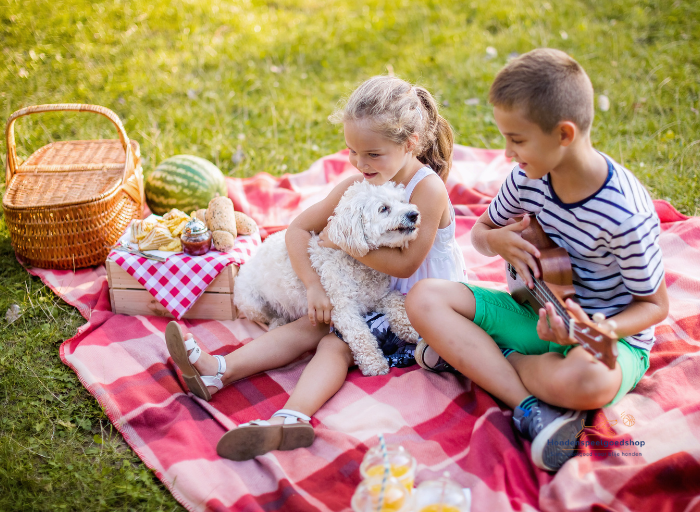Hoe laat je kinderen en honden veilig samen spelen? Ontdek praktische tips van hondentrainers én het beste speelgoed voor gedeeld plezier tussen kind en hond.