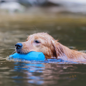 Waterspeelgoed