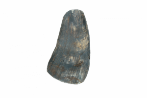 Viking Twist Horn L