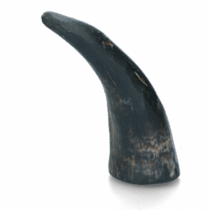 Viking Whole Horn L